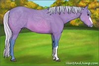 Horse Color:Watercolor Silver Bay