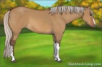 Horse Color:Silver Brown Dun 
