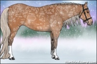 Horse Color:Silver Brown Ice 