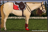 Horse Color:Bay Roan Pearl 