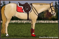 Horse Color:Red Roan Pearl 
