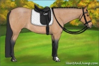 Horse Color:Bay Roan