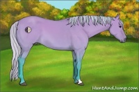 Horse Color:Watercolor Silver Brown Dun 