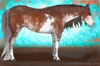 Horse Color:Chocolate Brown Sabino
