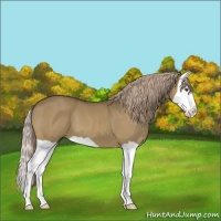 Horse Color:Chocolate Palomino Splash