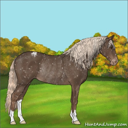 Horse Color:Liver Chestnut Mushroom Snowflake Varnish Rabicano