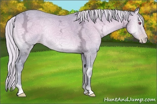 Horse Color:Watercolor Silver Classic Champagne Chinchilla Ice Onyx Sabino 