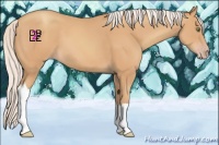 Horse Color:Silver Amber Champagne