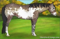 Horse Color:Bay Ice Onyx Frame