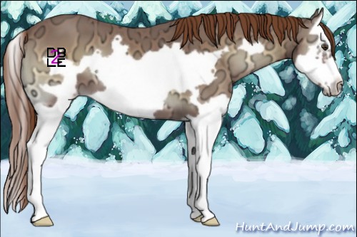 Horse Color:Red Onyx Ice Splash Frame