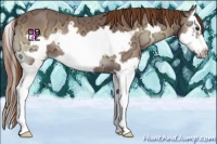 Horse Color:Red Onyx Ice Splash Frame