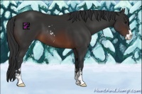 Horse Color:Brown Sabino 