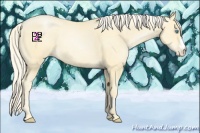Horse Color:Palomino Pearl