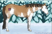 Horse Color:Bay Roan Splash 