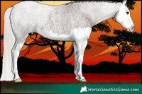 Horse Color:Silver Blue Roan Splash