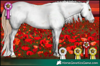 Horse Color:Bay Pearl Sabino 