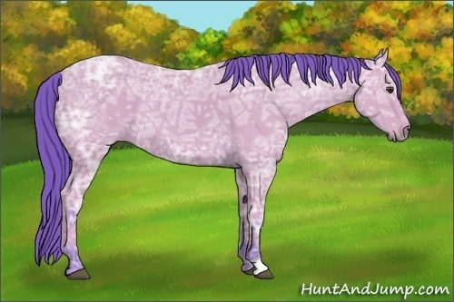 Horse Color:Watercolor Bay Ice 