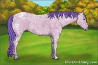 Horse Color:Watercolor Bay Ice