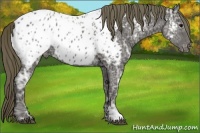 Horse Color:Smoky Black Ice Appaloosa