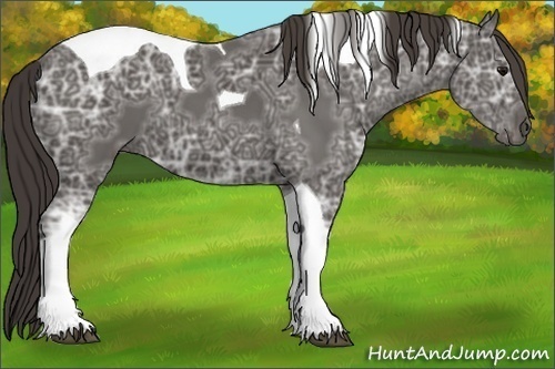 Horse Color:Smoky Black Ice Tobiano 