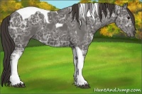 Horse Color:Smoky Black Ice Tobiano 