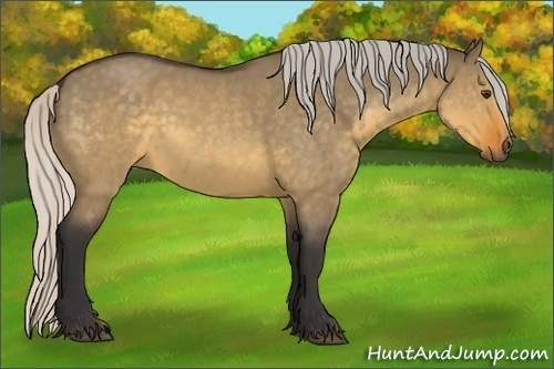 Horse Color:Silver Buckskin Roan Dun Rabicano 