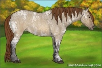 Horse Color:Buckskin Ice Roan Dun Varnish