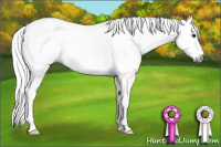 Horse Color:Gray Silver Bay Sabino 