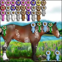 Horse Color:Gray White Spotted Silver Brown