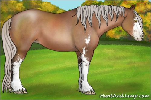 Horse Color:Gray Silver Bay Pearl Sabino 
