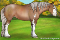 Horse Color:Gray Silver Bay Pearl Sabino 