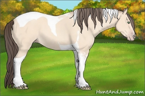 Horse Color:Amber Cream Champagne Tobiano 