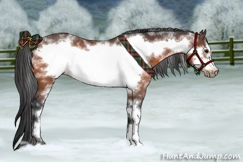 Horse Color:White Spotted Bay Frame Rabicano 