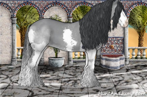 Horse Color:Grullo Chinchilla Splash