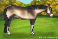 Horse Color:Brown Onyx 