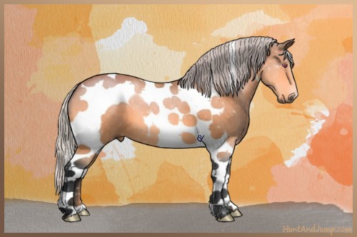 Horse Color:Silver Bay Chinchilla Tobiano 