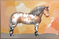 Horse Color:Silver Bay Chinchilla Tobiano