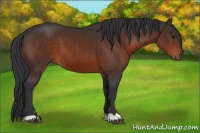 Horse Color:Brown 
