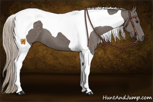 Horse Color:Silver Black Tobiano
