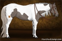 Horse Color:Silver Black Tobiano