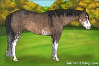 Horse Color:Brown Dun Sabino Brindle