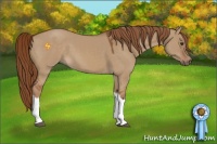 Horse Color:Red Dun 