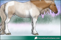 Horse Color:Chocolate Palomino Dun Tobiano 