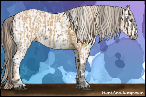 Horse Color:Palomino Ice and Grullo Near Leopard