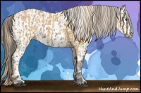 Horse Color:Palomino Ice and Grullo Near Leopard