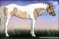 Horse Color:Silver Brown Dun Tobiano Rabicano