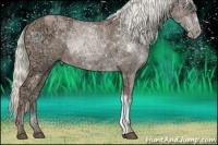 Horse Color:Liver Chestnut Ice Pearl Mushroom 