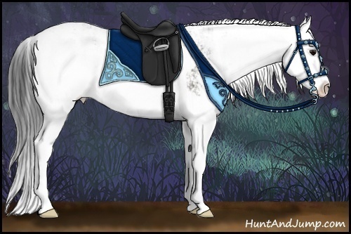 Horse Color:Grullo Sabino Splash 