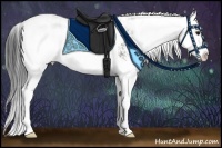 Horse Color:Grullo Sabino Splash 