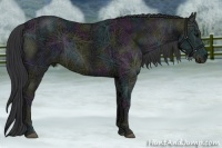 Horse Color:Midnight Black Ice